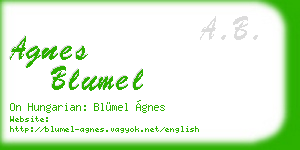 agnes blumel business card
